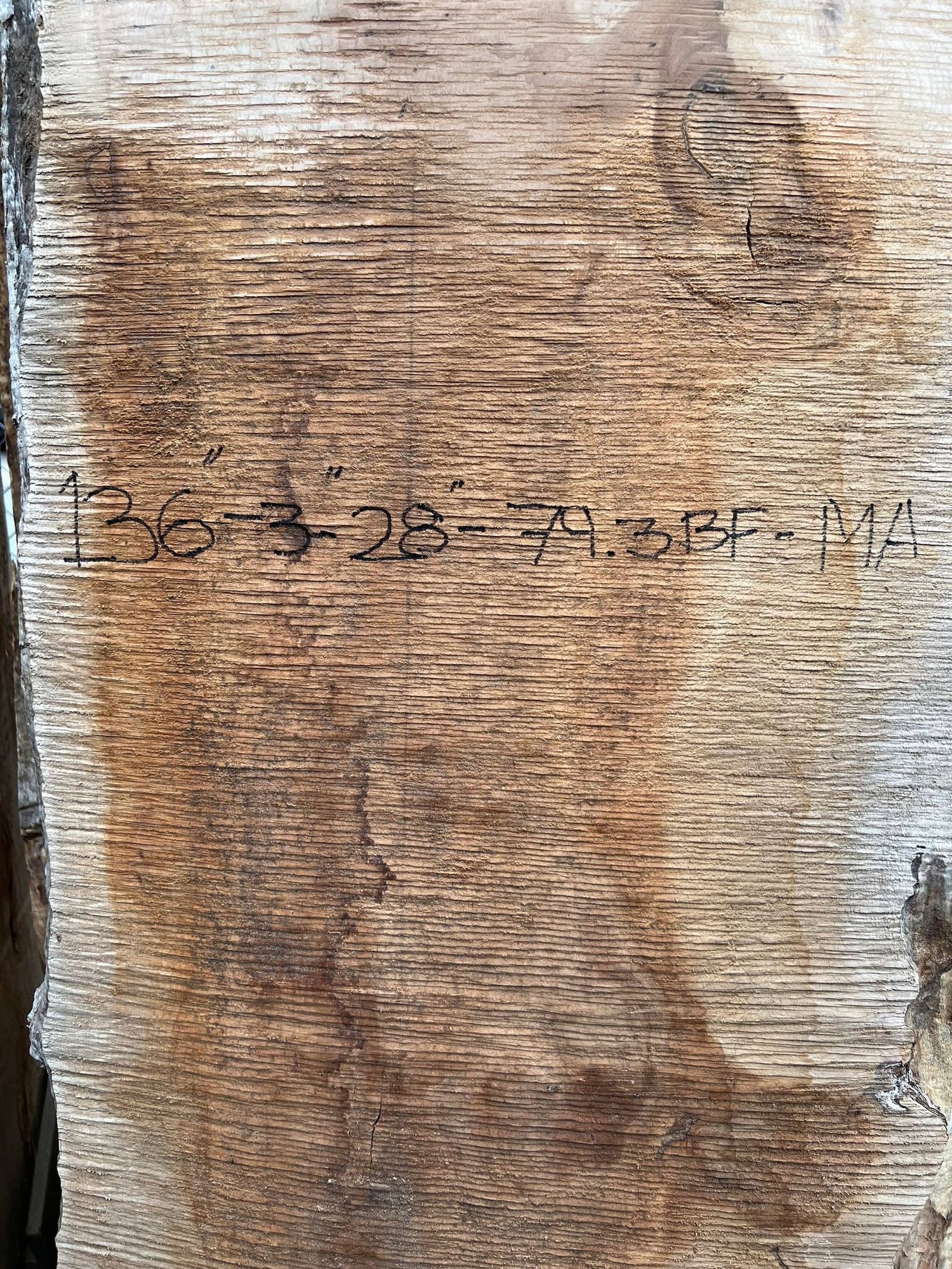 Big Leaf Maple